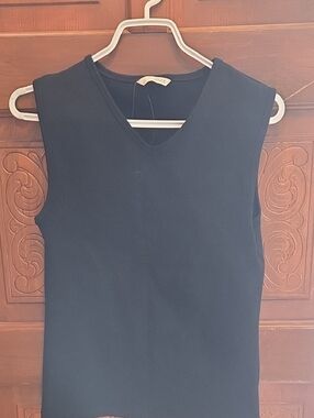3 For $40 Zara Black V-Neck Sleeveless Tank Top